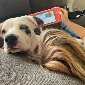 Meet your Posher, Bethany